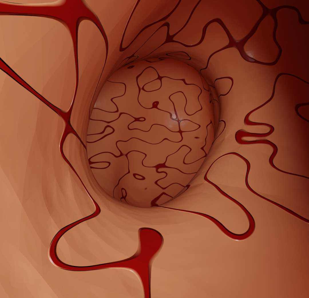 Endoscopic Navigation preview