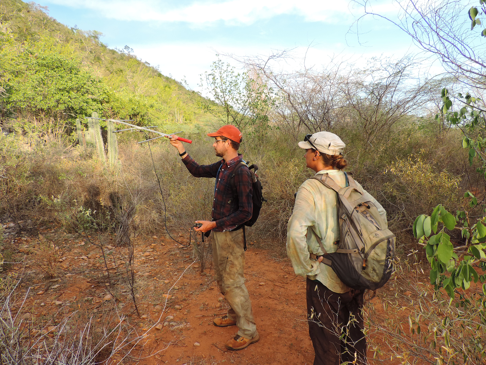 Handing a radio telemetry receiver