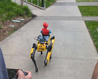 Spot robot