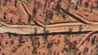 Aerial footage of baboons