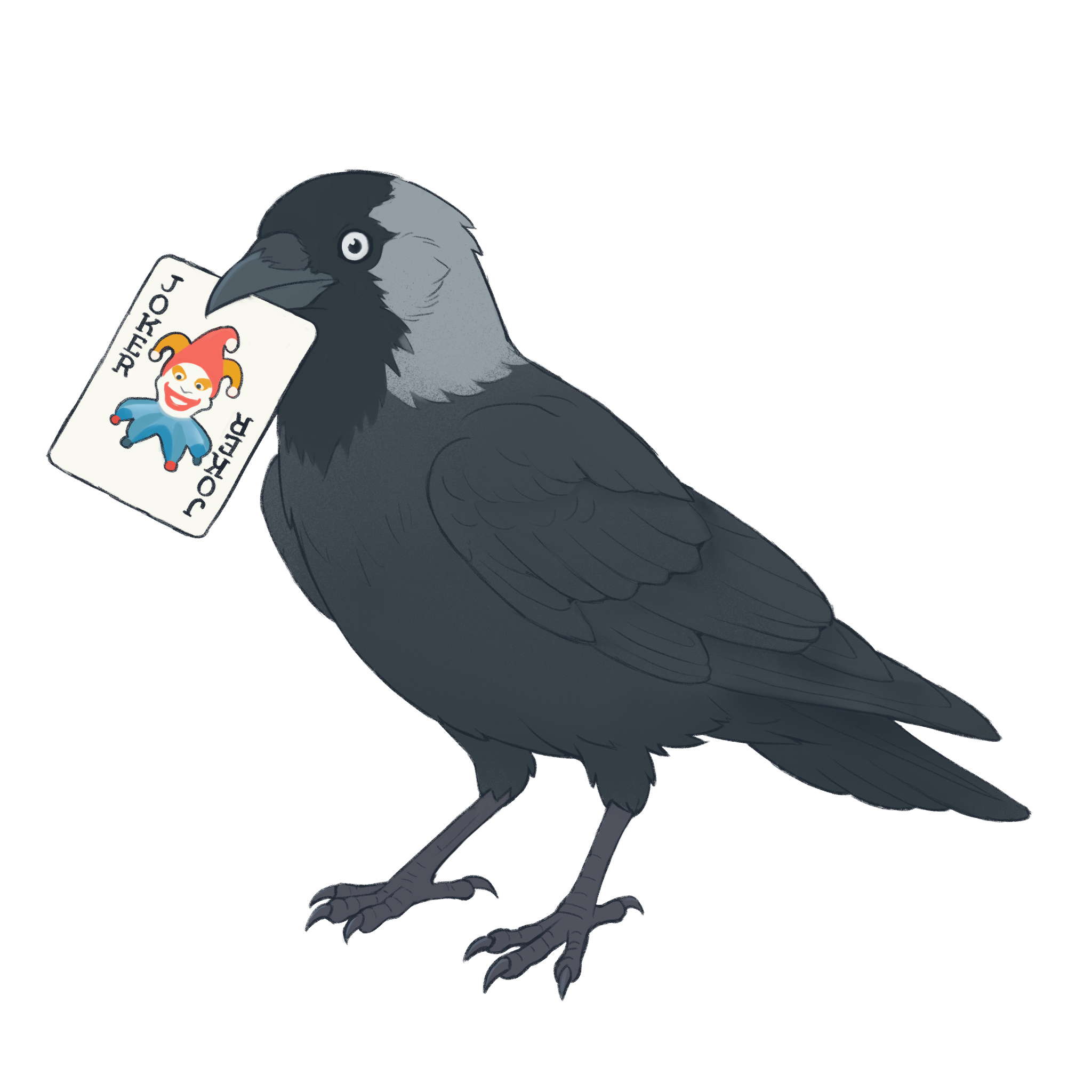Jackdaw Logo